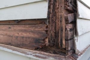 Wood Rot on House